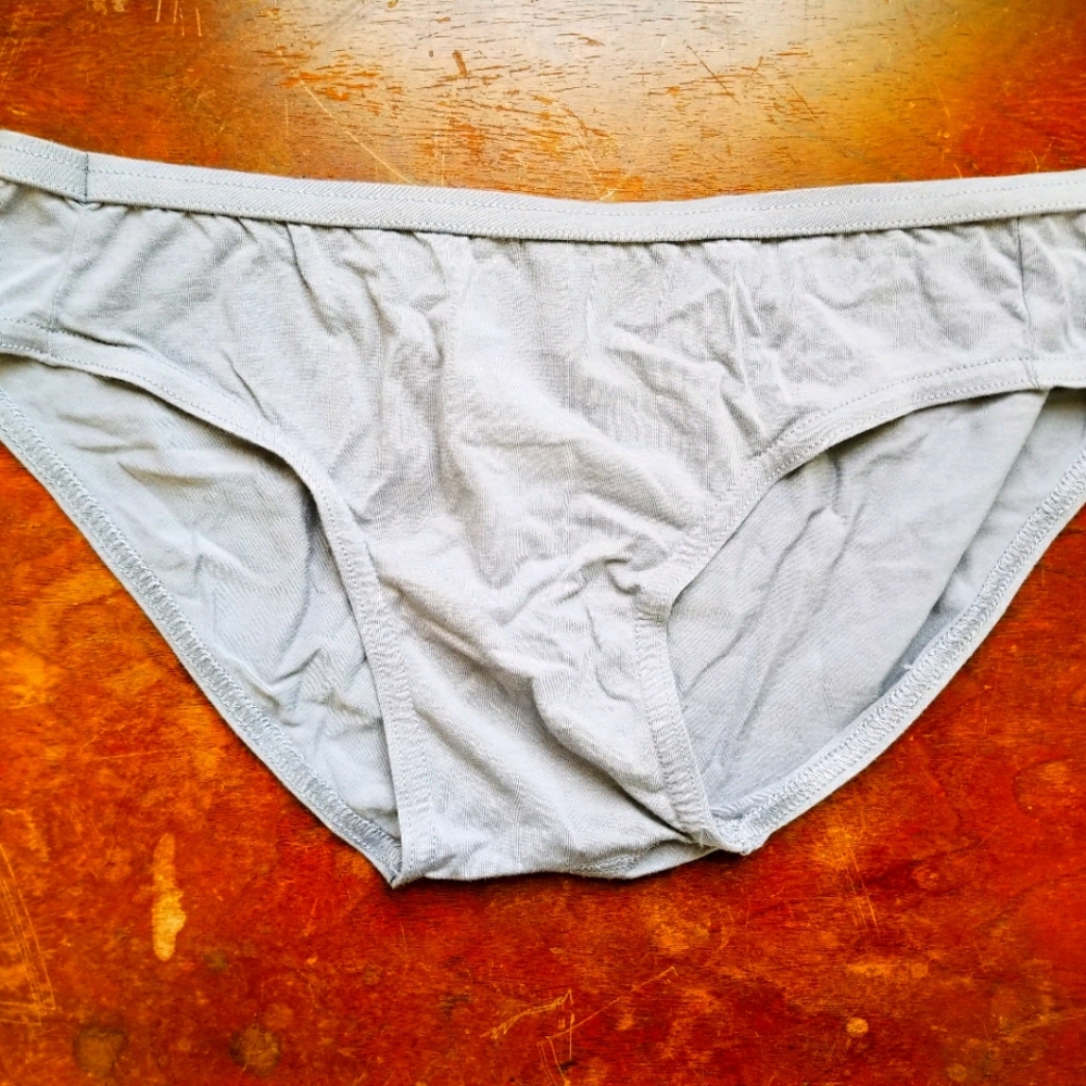 Hanes Bikini